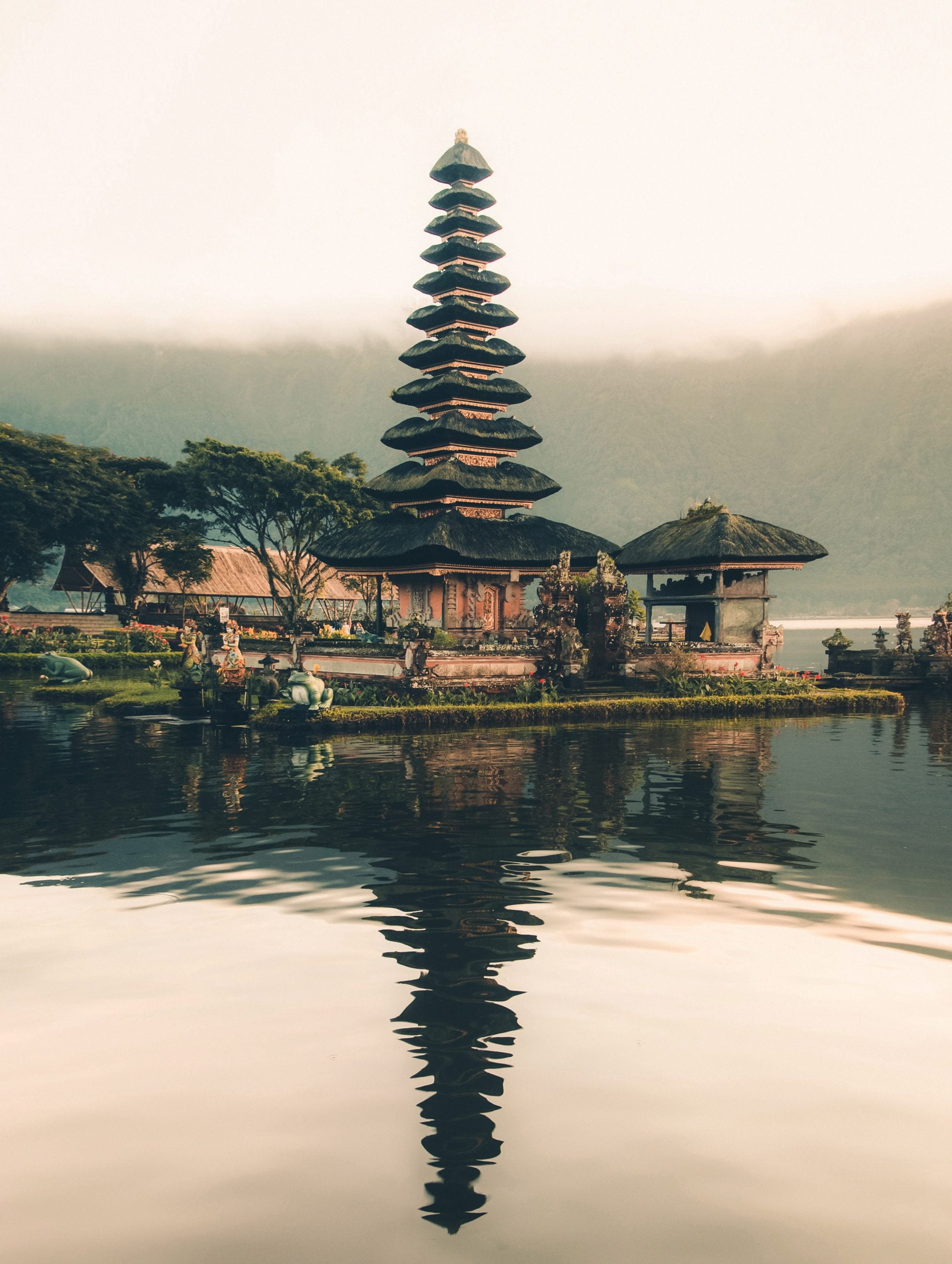 balinese coffee farm beside body of water and trees where they grow specialty grade