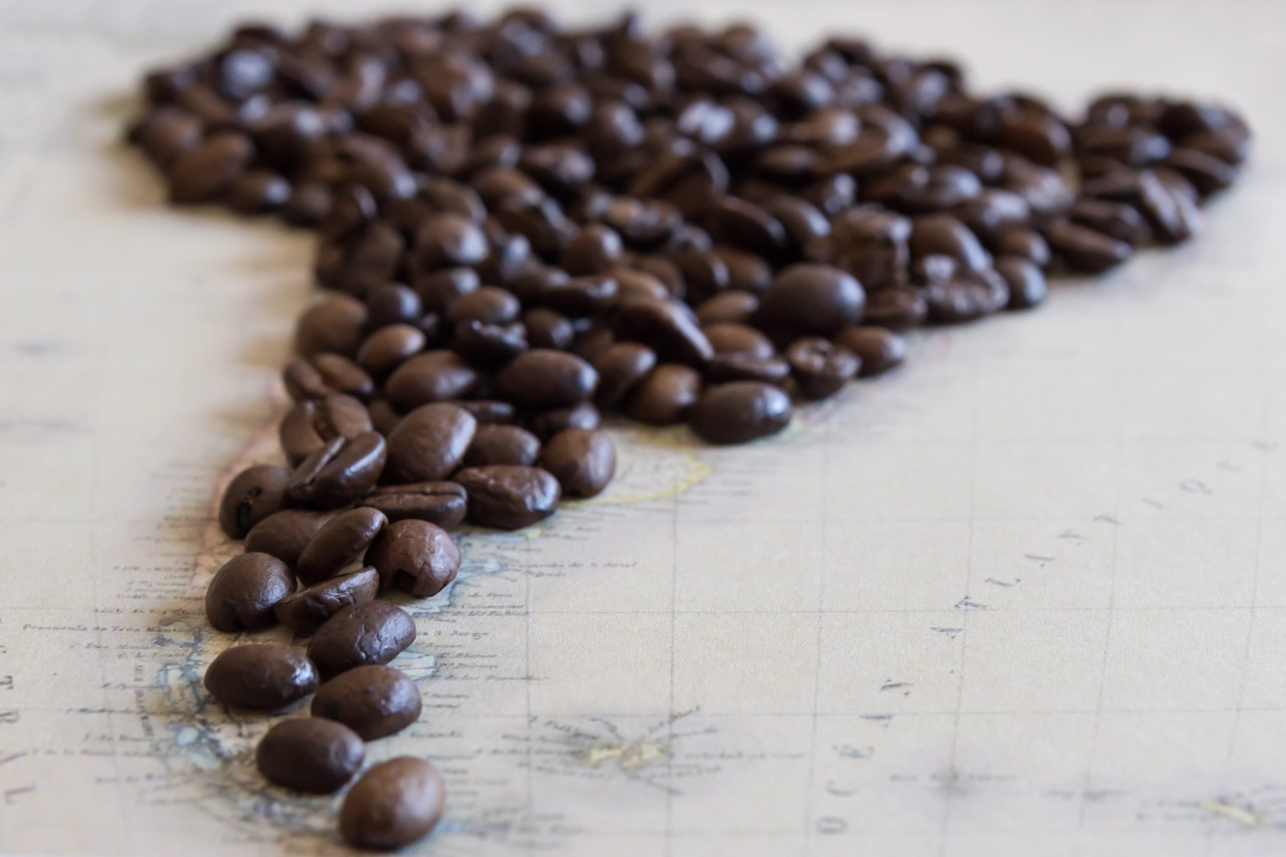 brown single origin coffee beans on white paper in the shape of south america