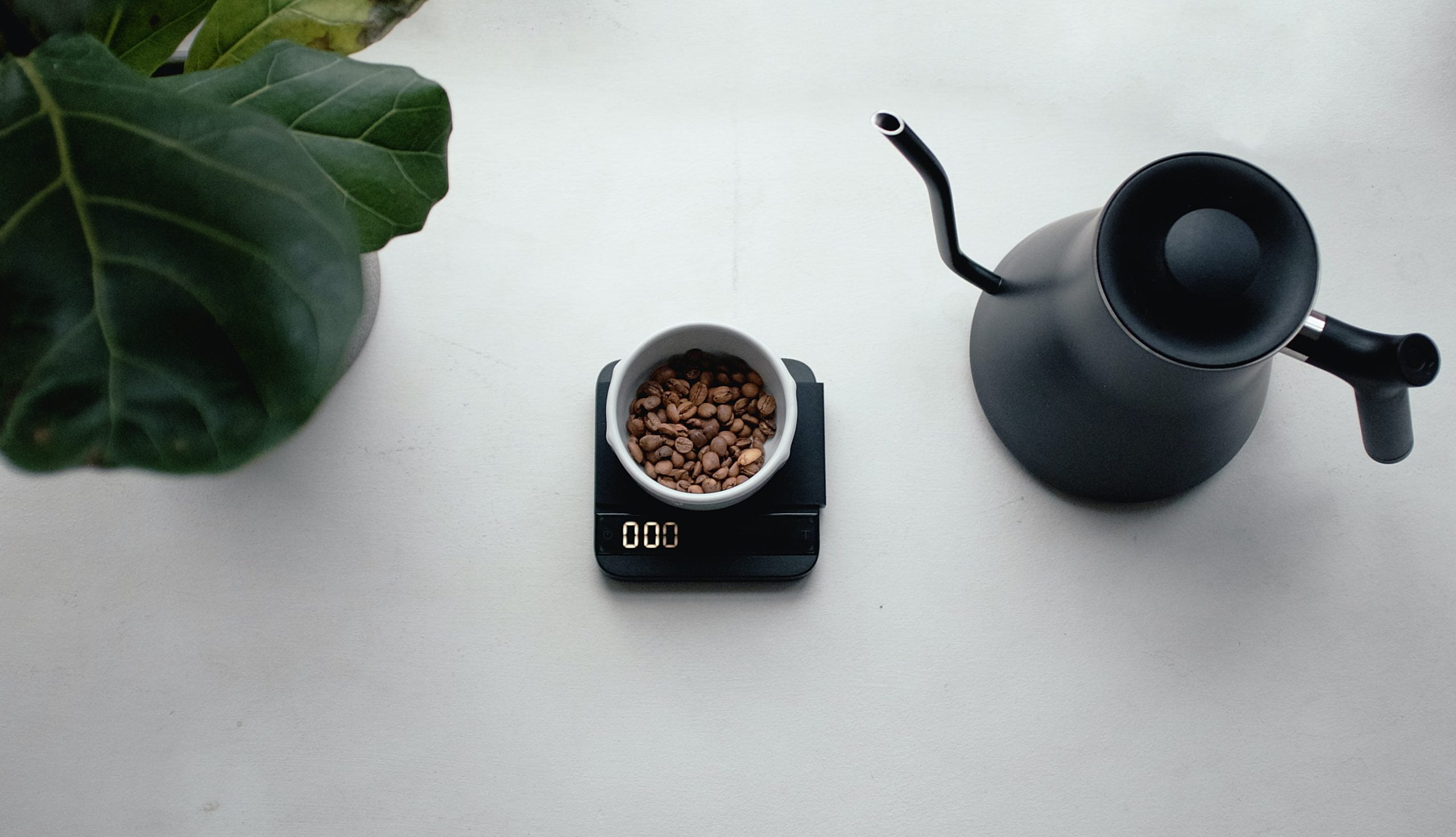 A small scale with a measured portion of specialty coffee.