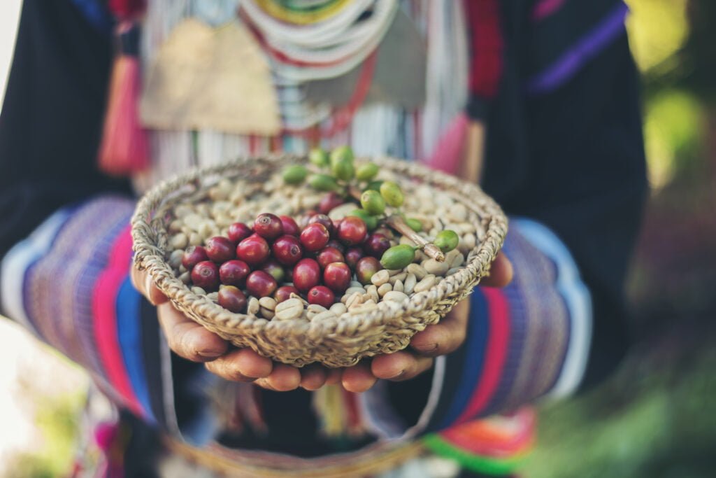 single origin coffee beans on basket wooden